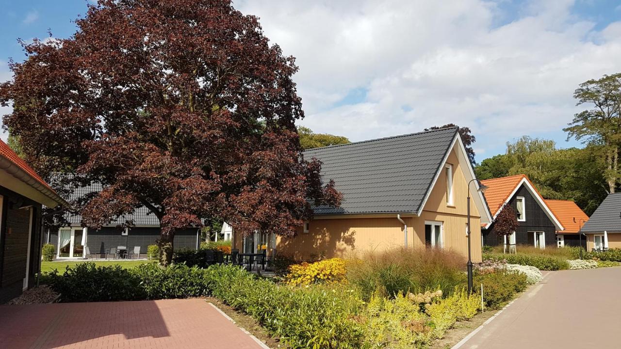Villapark Ehzerburg 阿尔门 外观 照片